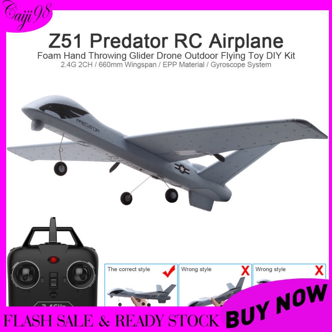 rc airplane plane z51