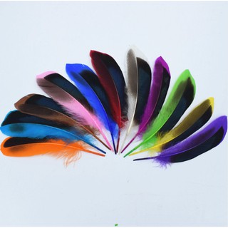 50pcs Wild Duck Mallard Natural Feathers for Craft Party Decoration 8-12cm 