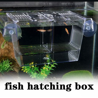 Aquarium Fish Breeding Boxes Double Guppies Hatching Incubator Isolation Aquarium Tanks Durable