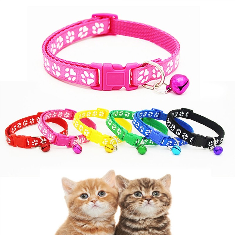 puppy collar with bell