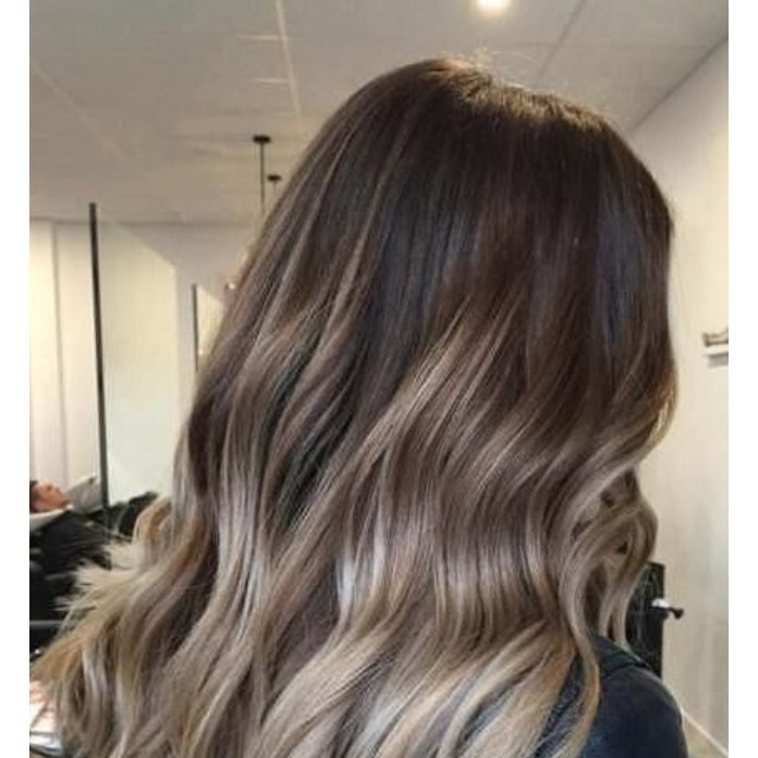 Silver Ash Hair Color Dye Set Shopee Philippines