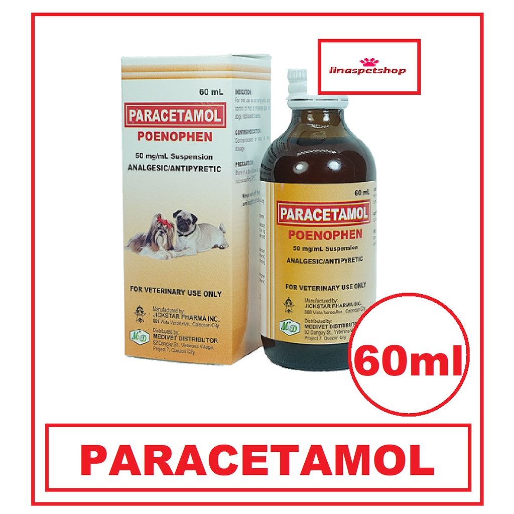 Paracetamol Iv For Dogs At Emma Sparks Blog