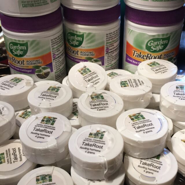 TakeRoot Rooting Hormone Powder 4grams Repacked | Shopee Philippines