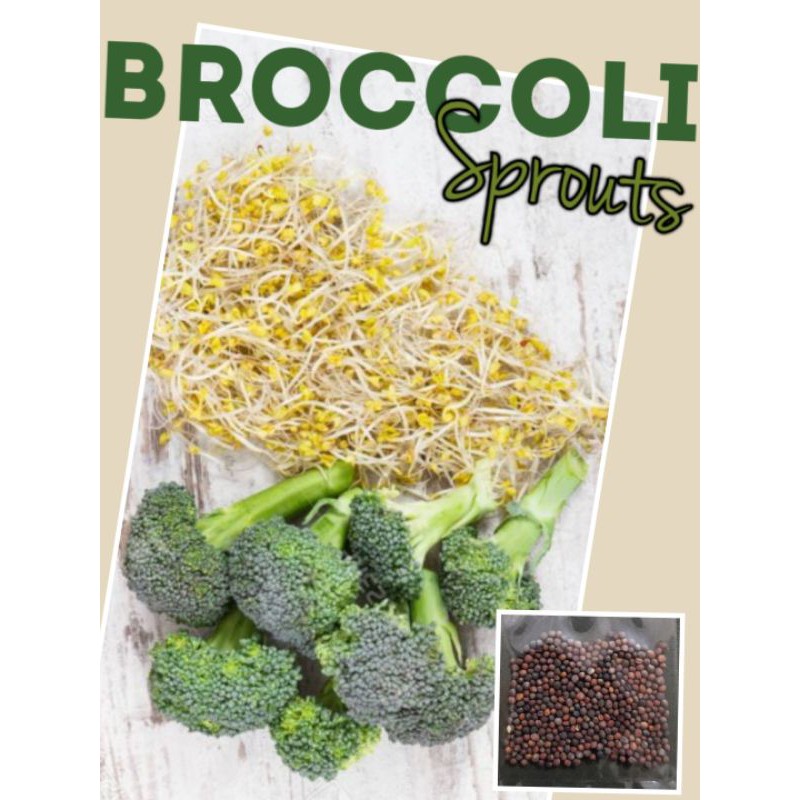 Where To Buy Broccoli Sprouts In The Philippines