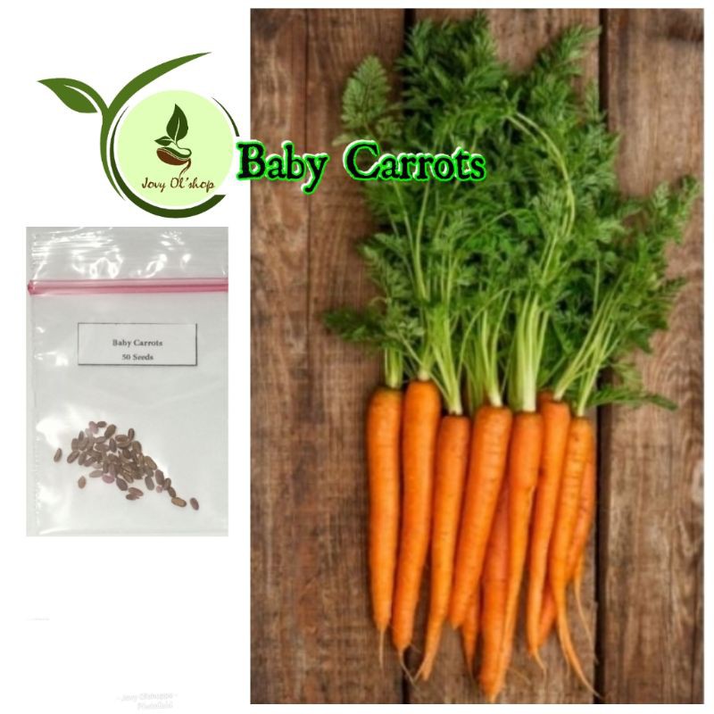 Baby Carrot seeds vegetable Shopee Philippines