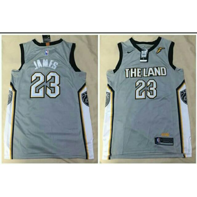 LEBRON JAMES THE LAND GRAY JERSEY 