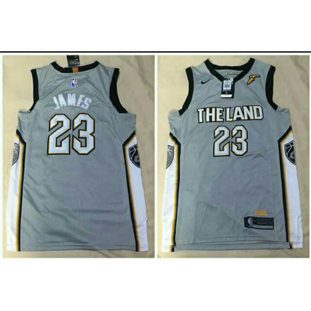 lebron the land jersey