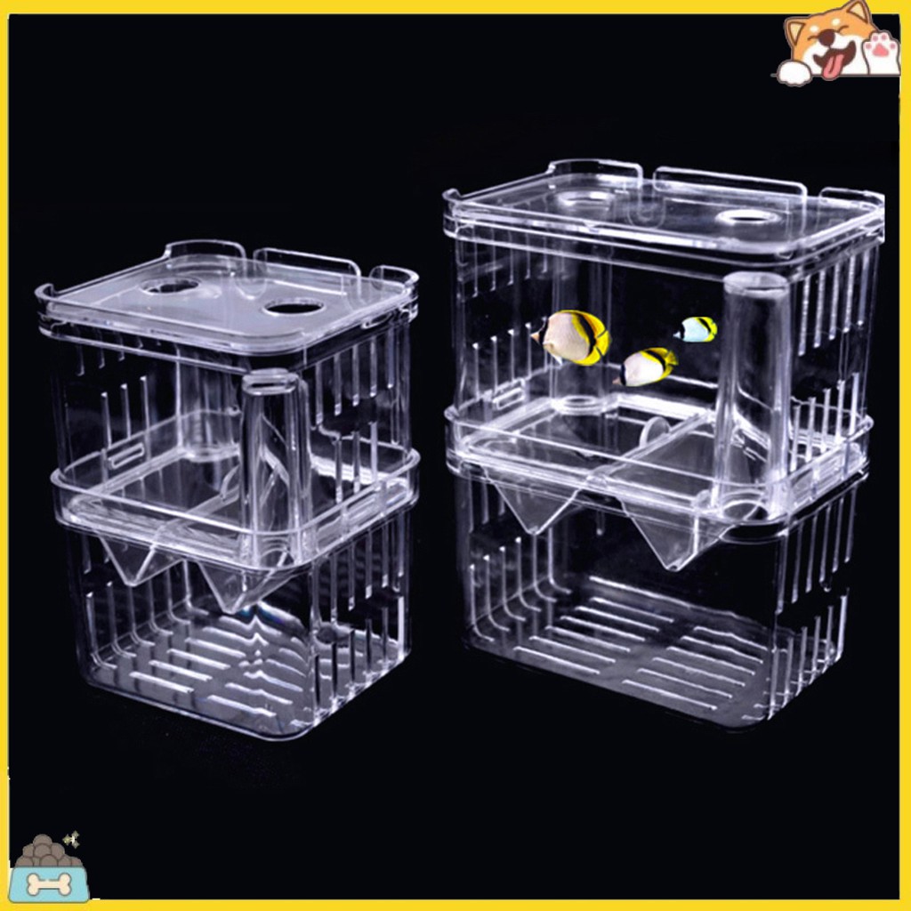 Acrylic Transparent Double Layer Aquarium Fish Breeding Isolation Box ...