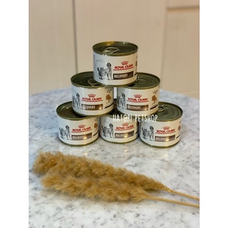 Royal CANIN RECOVERY/ROYAL CANIN RECOVERY CAT & DOG/WET FOOD RC
