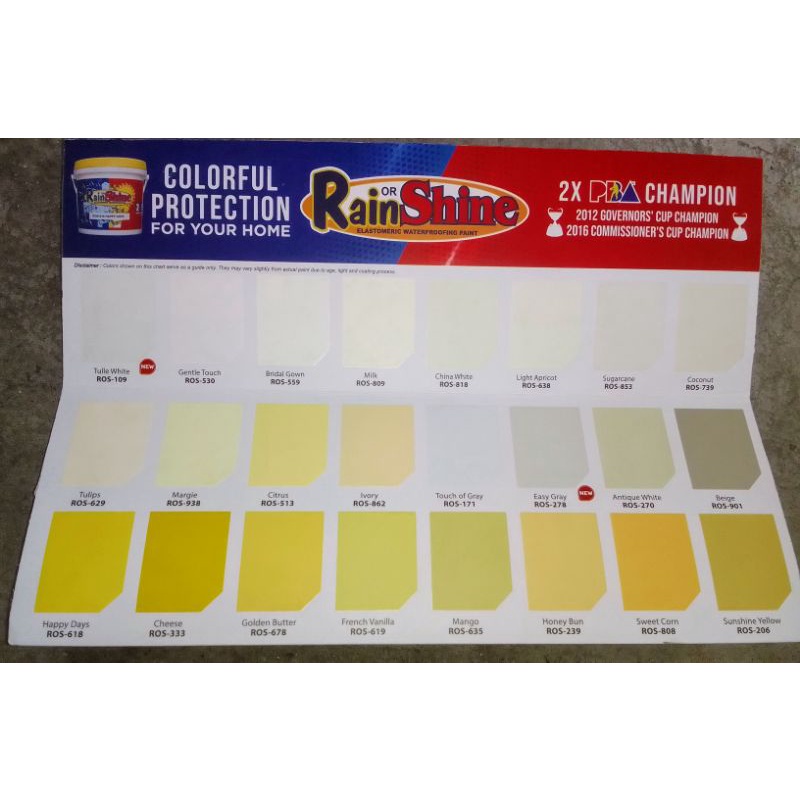 RAIN OR SHINE ELASTOMERIC WATERPROOFING PAINT GALLON (PART 1) WALANG