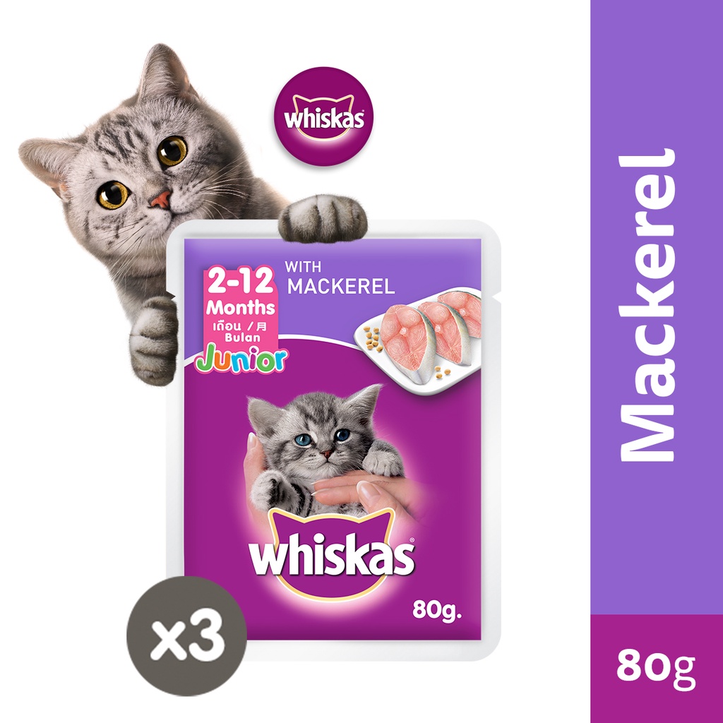 WHISKAS Junior Kitten Food Pouch Kitten Wet Food in Mackerel Flavor