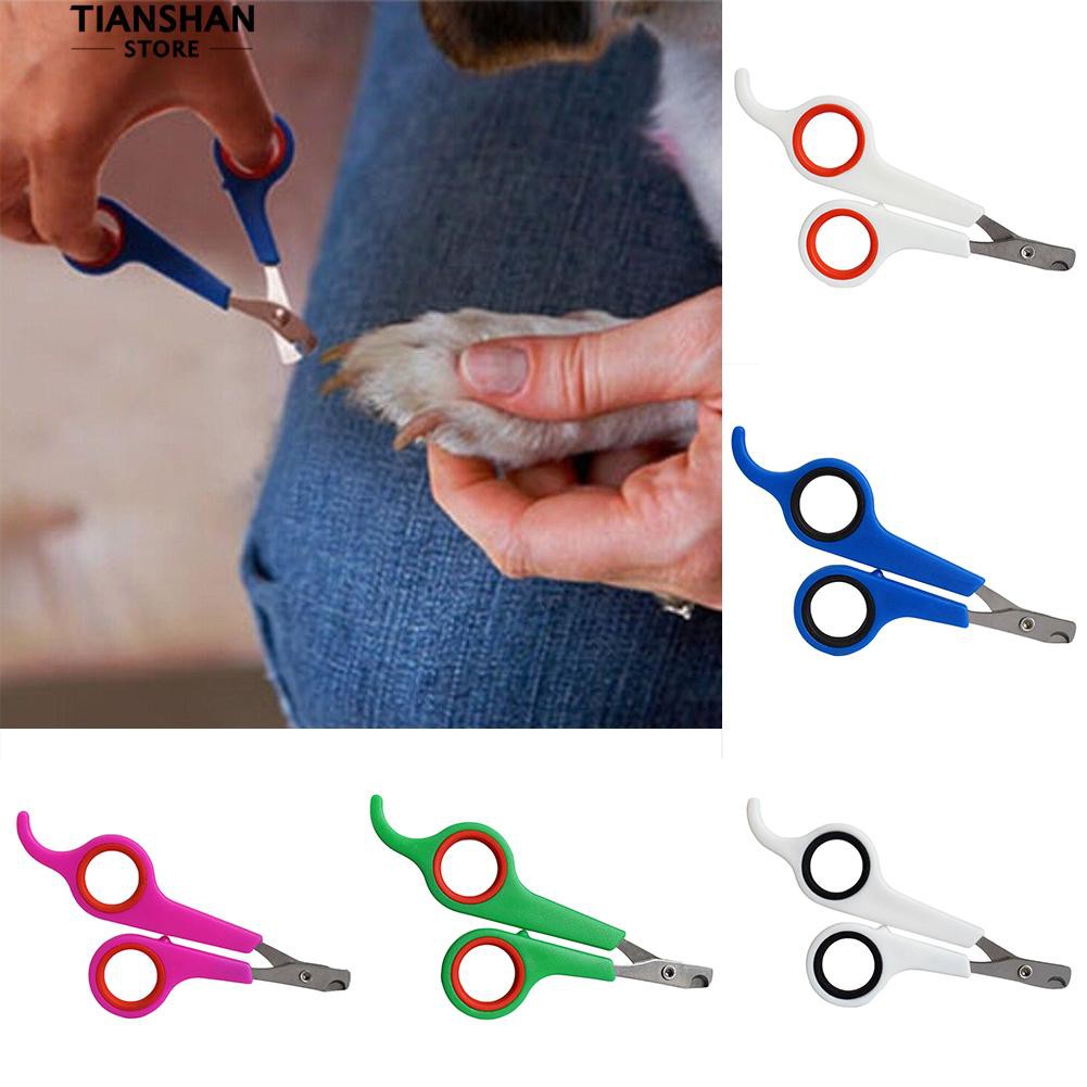 nail clippers or scissors