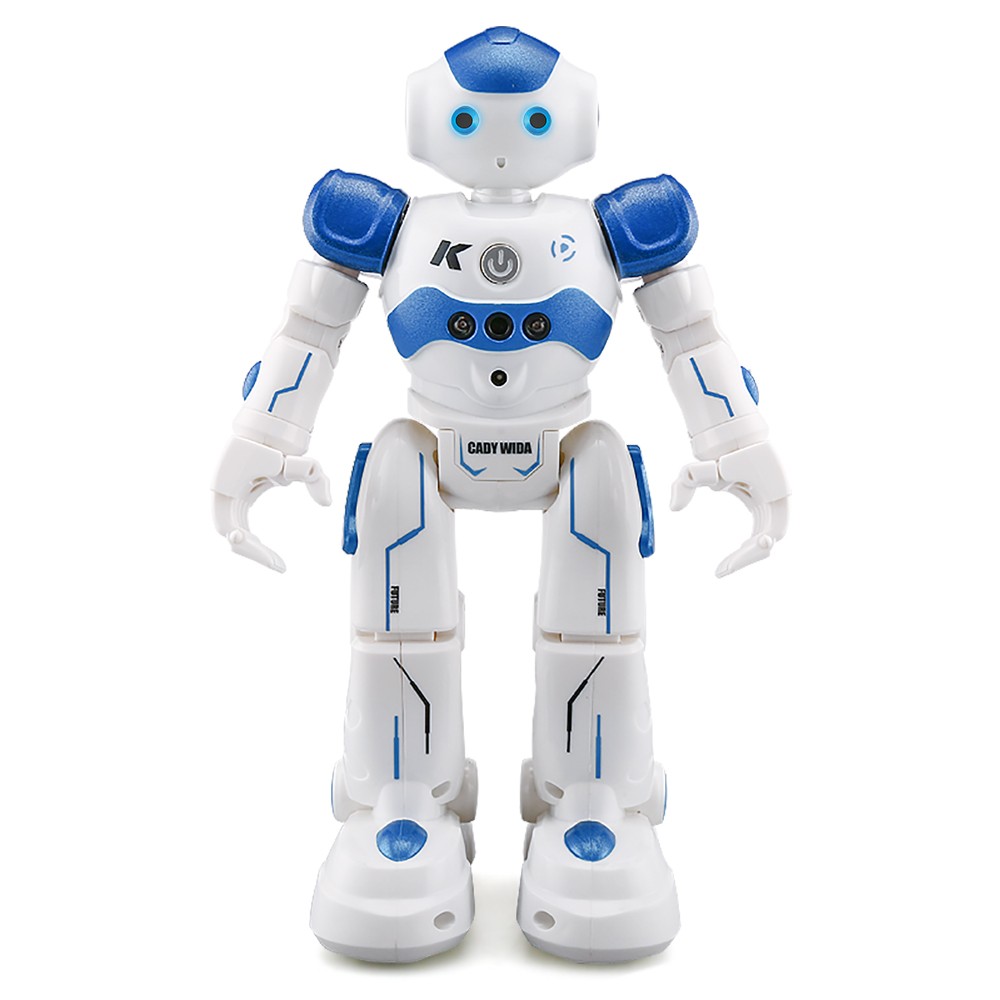 cady wida robot