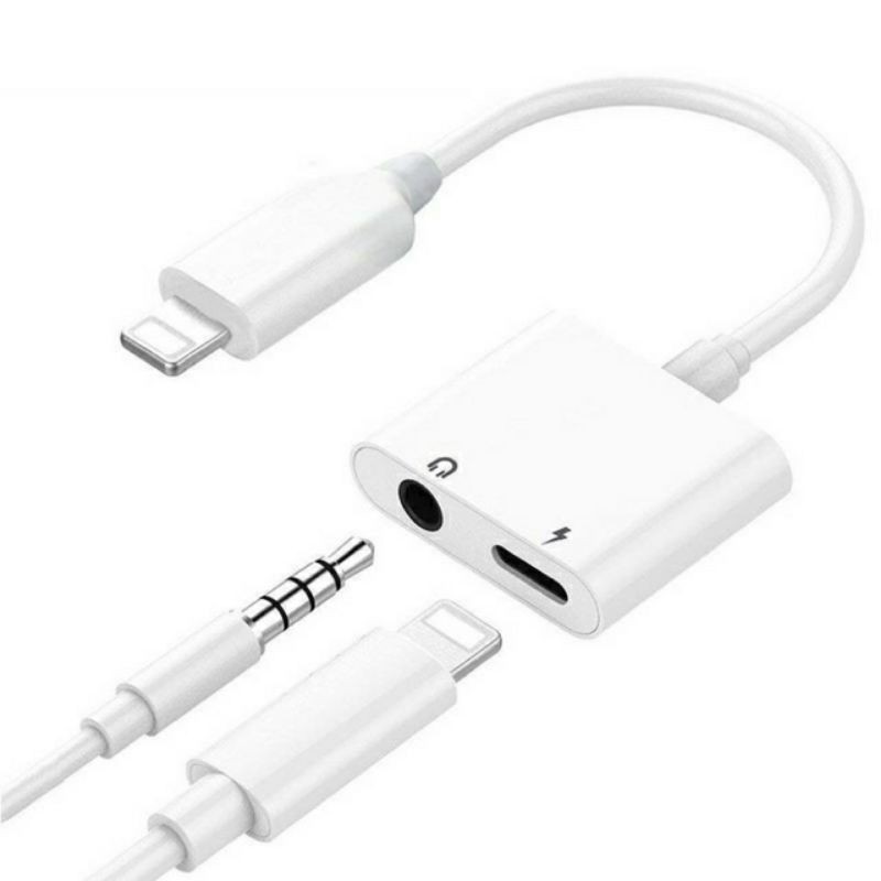 iphone dongle
