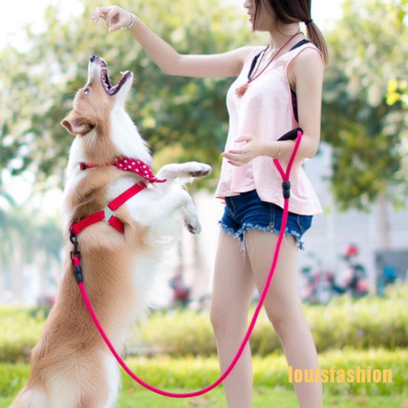 dog walking training collar