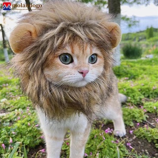 MOLANDOGO Pet Halloween Hat Cute Lion Mane Cat Hat Dogs Cats Funny Cosplay Costume Accessories Lion Wig Fancy Pet Supplies H6Y5