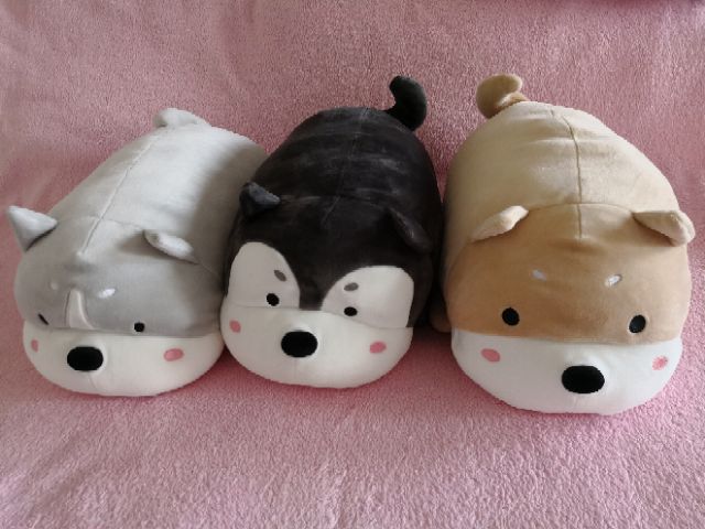 miniso shiba inu