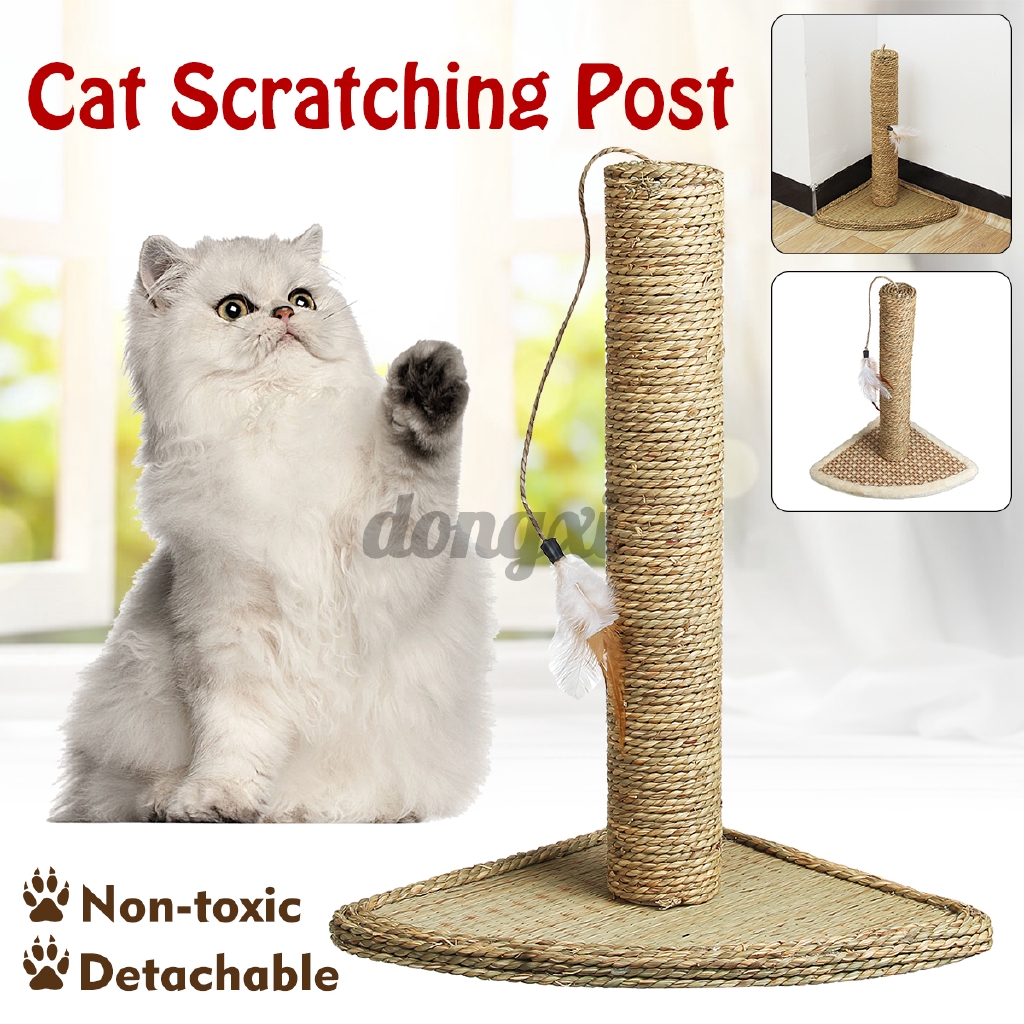 you & me cat scratch post with feather toys