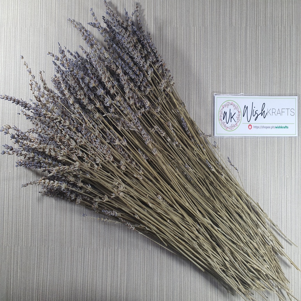 Lavender Dried Real Flower (Per 10pcs Stem) Shopee Philippines