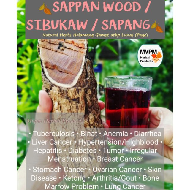 SIBUKAW /SAPPAN TREE /SAPANG RED TEA MIRACLE TEA (30 to 40 sticks