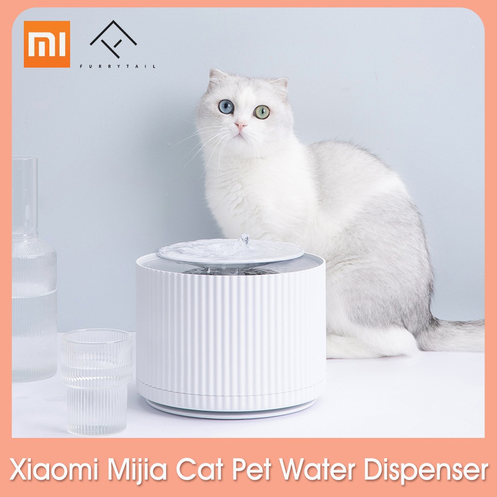 best cheap dry cat food