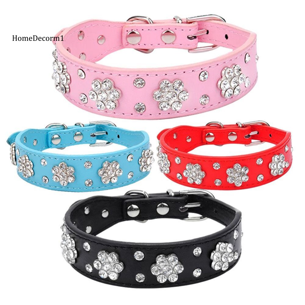 fashion dog collar