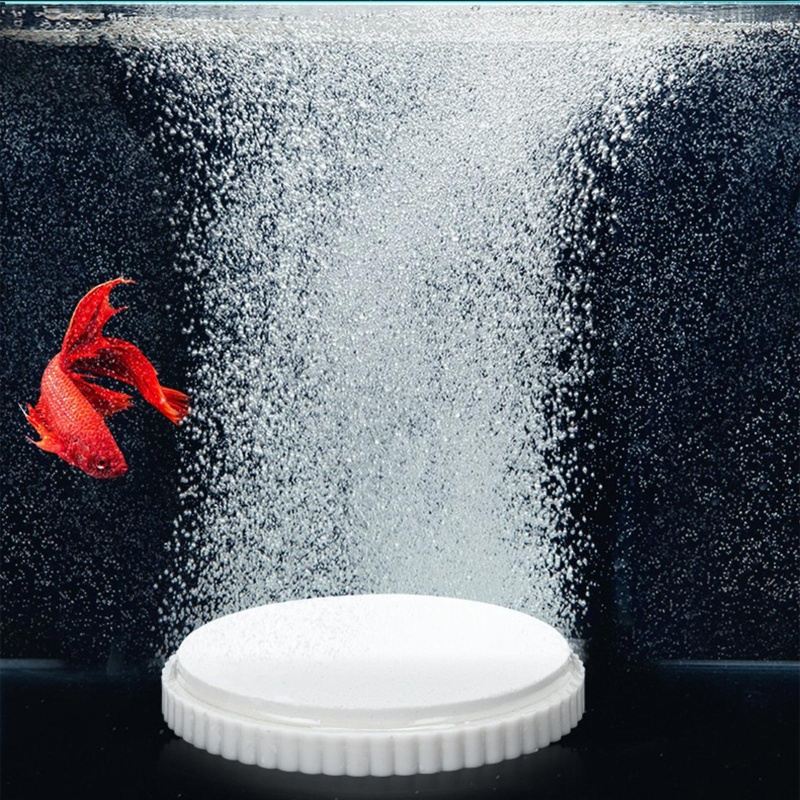 Bubble Ring Diffuser Fish Tank Air Stones For Aquariums & Ponds ...