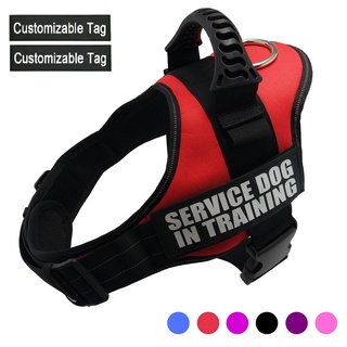 COD free shipping pet leash harness for dog pet collar Personalized Dog Harness NO PULL Reflective A