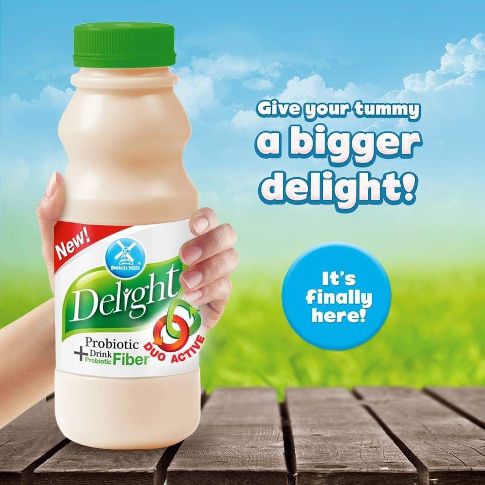 Dutchmill Delight Probiotics 400ml. | Shopee Philippines