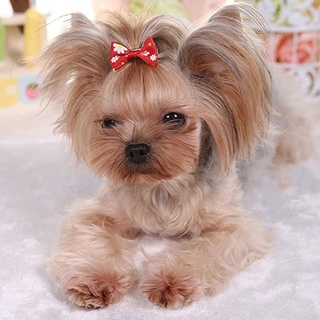 Pet Dog Cat Puppy Bow Tie Flower Bowknot Hair Clips Hair Accesories