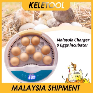 ❀☒▲Mini 9 Egg Incubator Poultry Hatching Machine Automatic Egg Tray Brooder Chicken Quail Student Sc