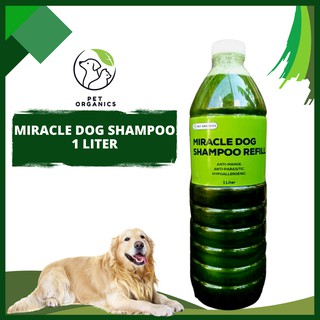 [PET ORGANICS] Miracle Dog Shampoo 1 LITER Anti-Mange Anti-Parasitic Hypoallergenic Madre de Cacao