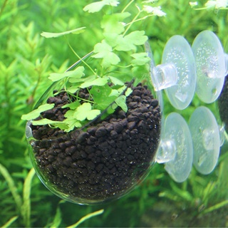 Aquarium Seeds Water Grass Pots Easy Aquatic Live Plant Fish Tank Decoration Landscape Ornament