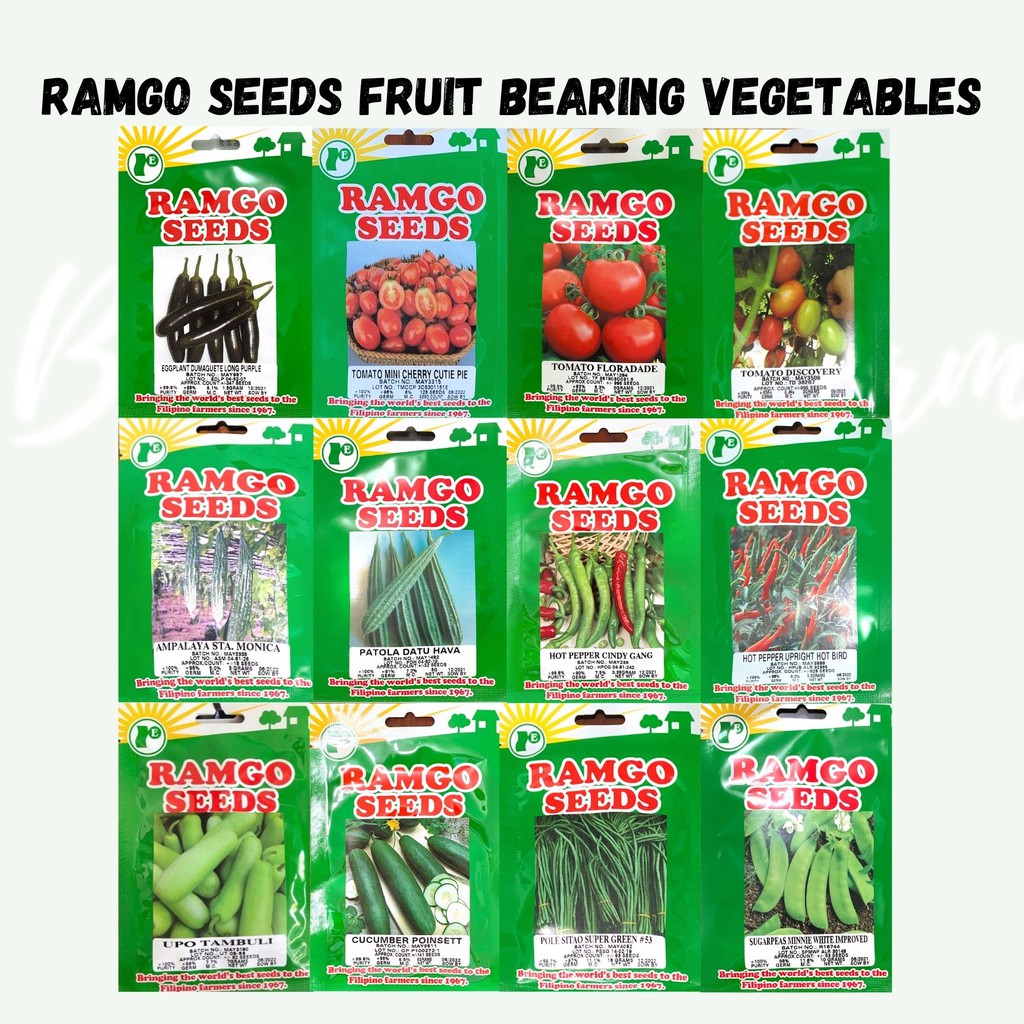 Ramgo Seeds (Fruit Bearing) Eggplant Tomato Cucumber Green Hot Pepper