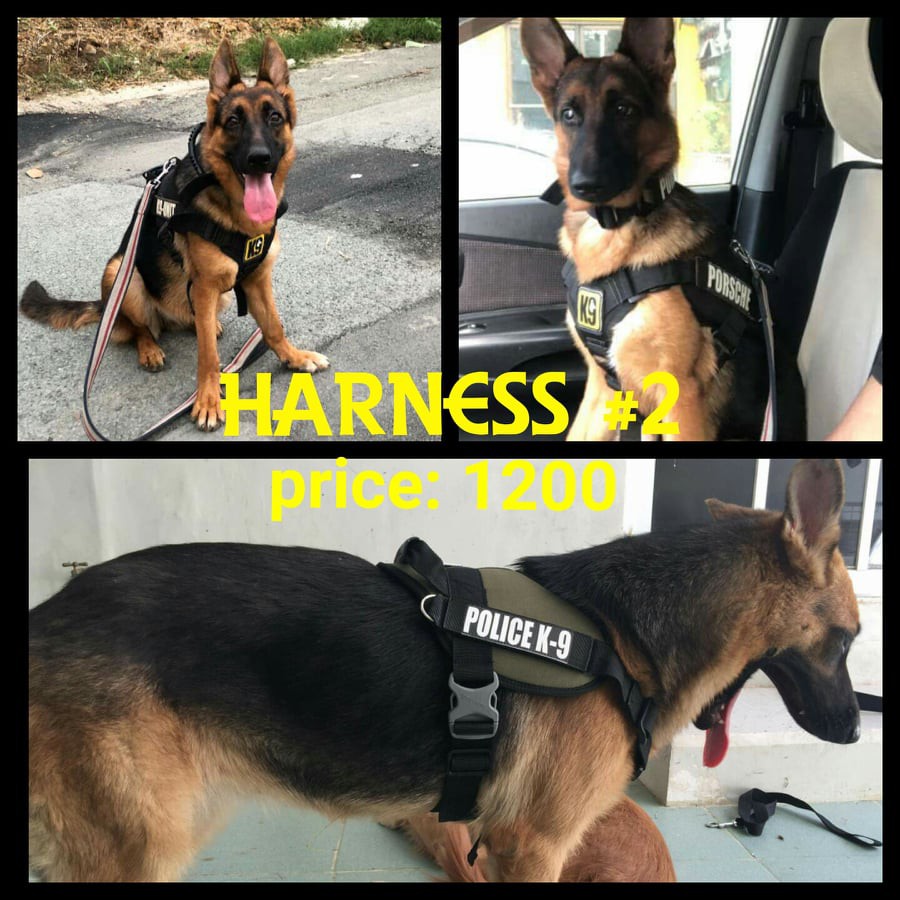 German Shepherd Police Harness 2024 elgincountymidwives