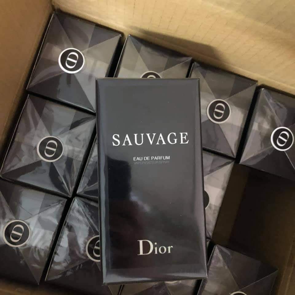 dior sauvage video