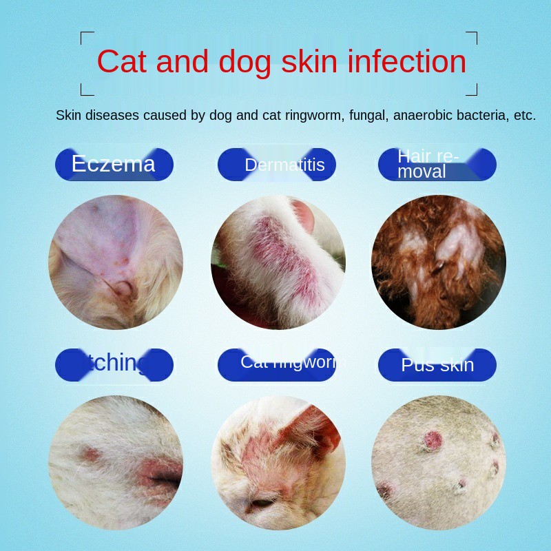 Pet Skin Topical Ointment To Treat Ringworm, Eczema, Interdigital