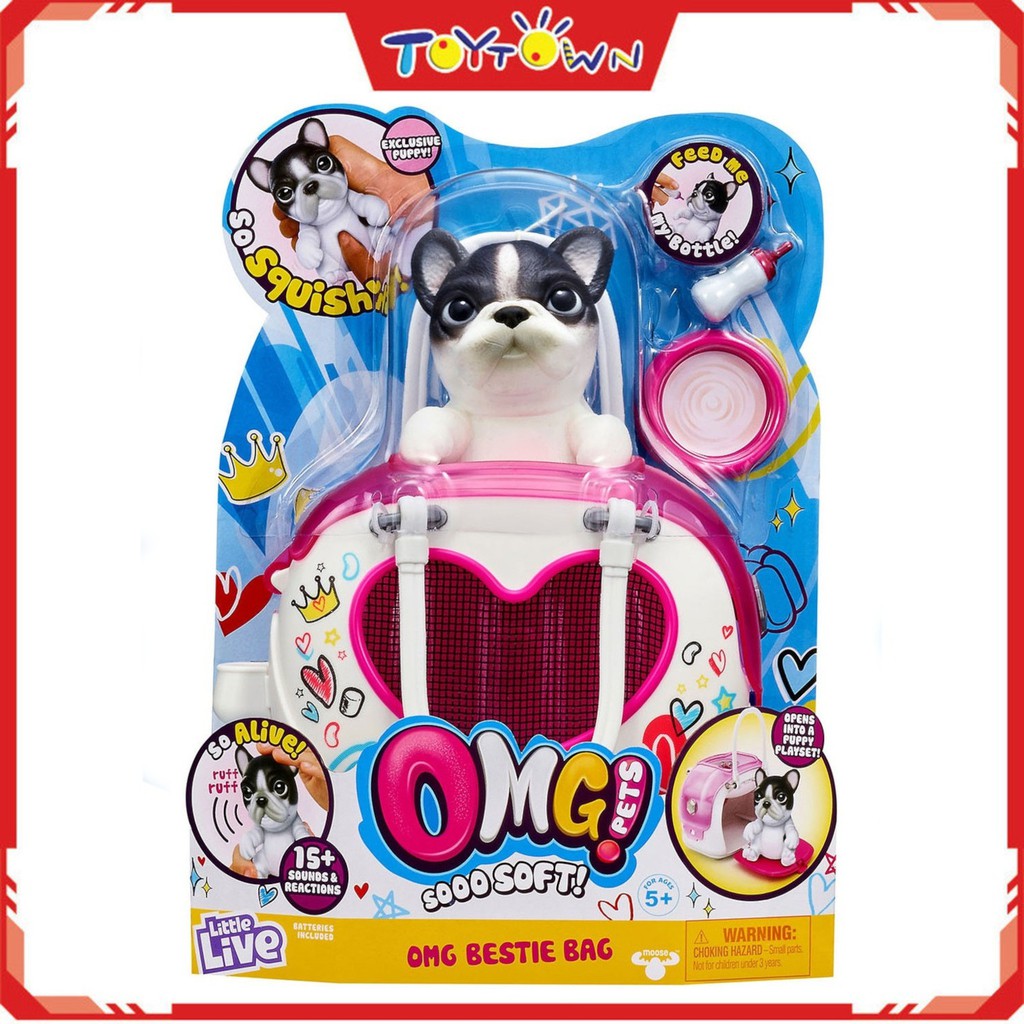 american blue nose pitbull