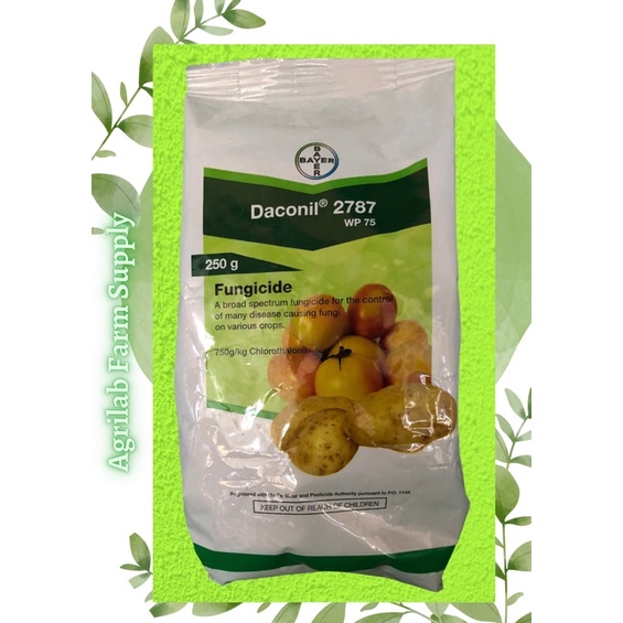 Bayer Daconil 2787 WP75 (250g) Shopee Philippines