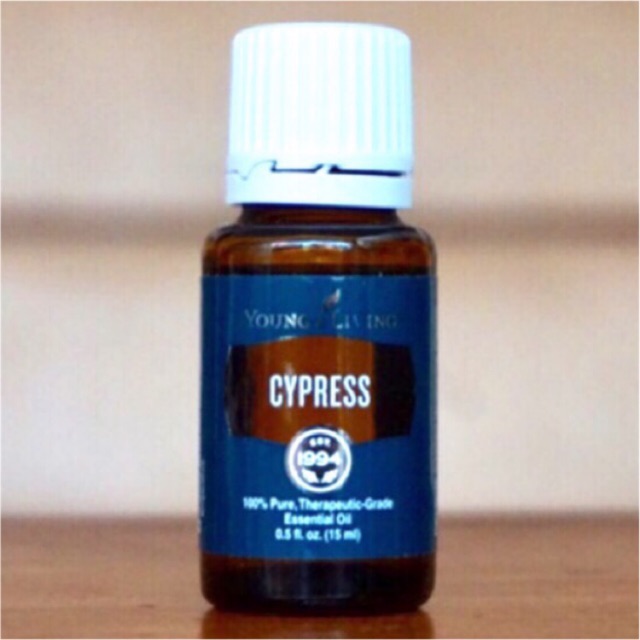 Young Living Cypress Essential Oil (15 ml) Shopee Philippines