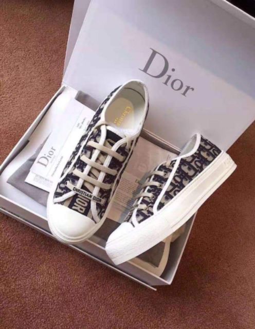 dior keds