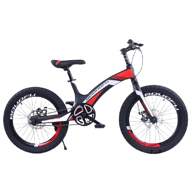 beiduofu bike 20