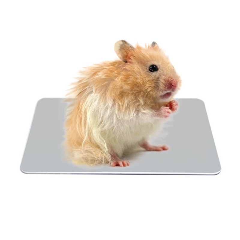 hamster bedding target
