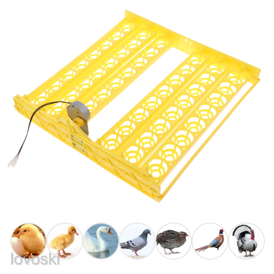 48-egg Automatic Egg Incubator Turner, Hatching Chicken ...