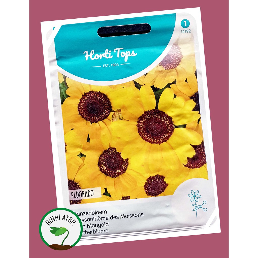Horti Tops Chrysanthemum Corn Marigold Chrysanthemum Segetum Flower Seeds 1 Gr Pack Shopee Philippines