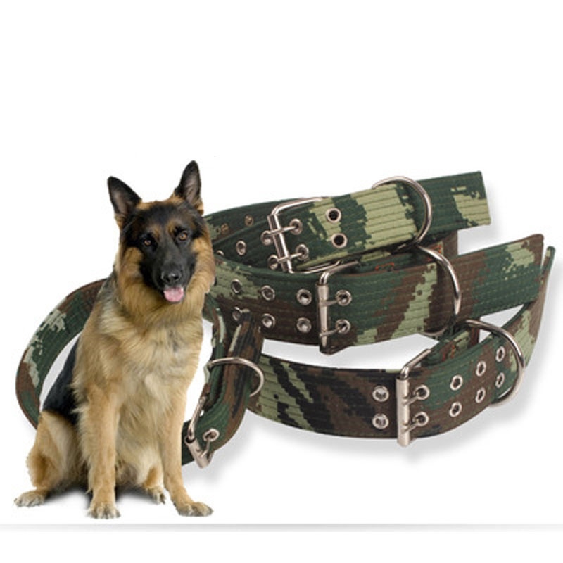 seat belt dog collar