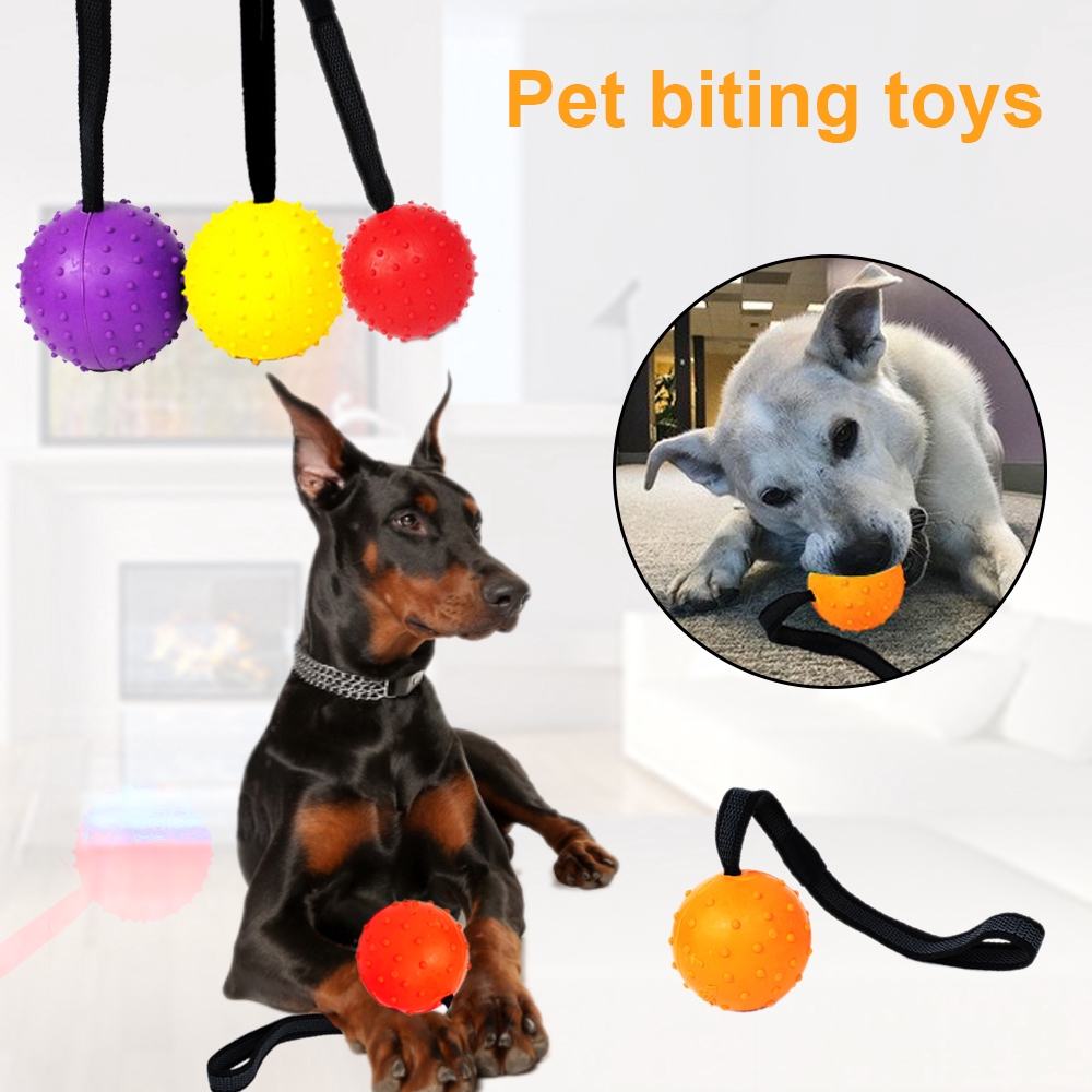 dog training toys