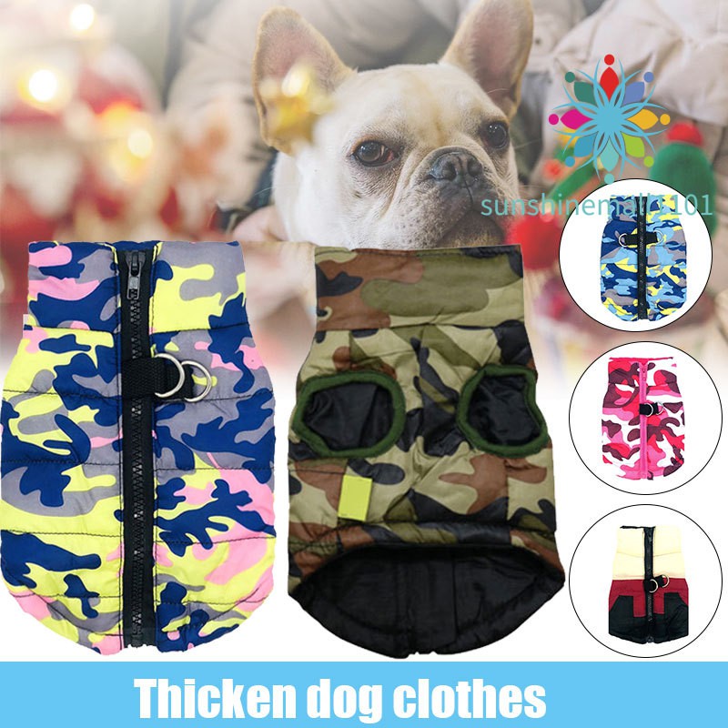 cute dog outfits
