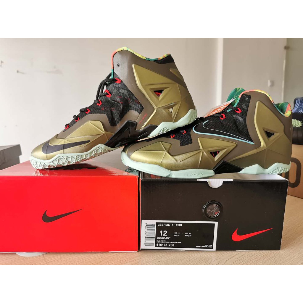 lebron xi
