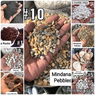Aquarium Pebbles Black Sand sea shells Lava Rock Marble Chips 1kg #1